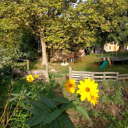 Albergue Del Oso Tierraluz Arbucies Bagian luar foto