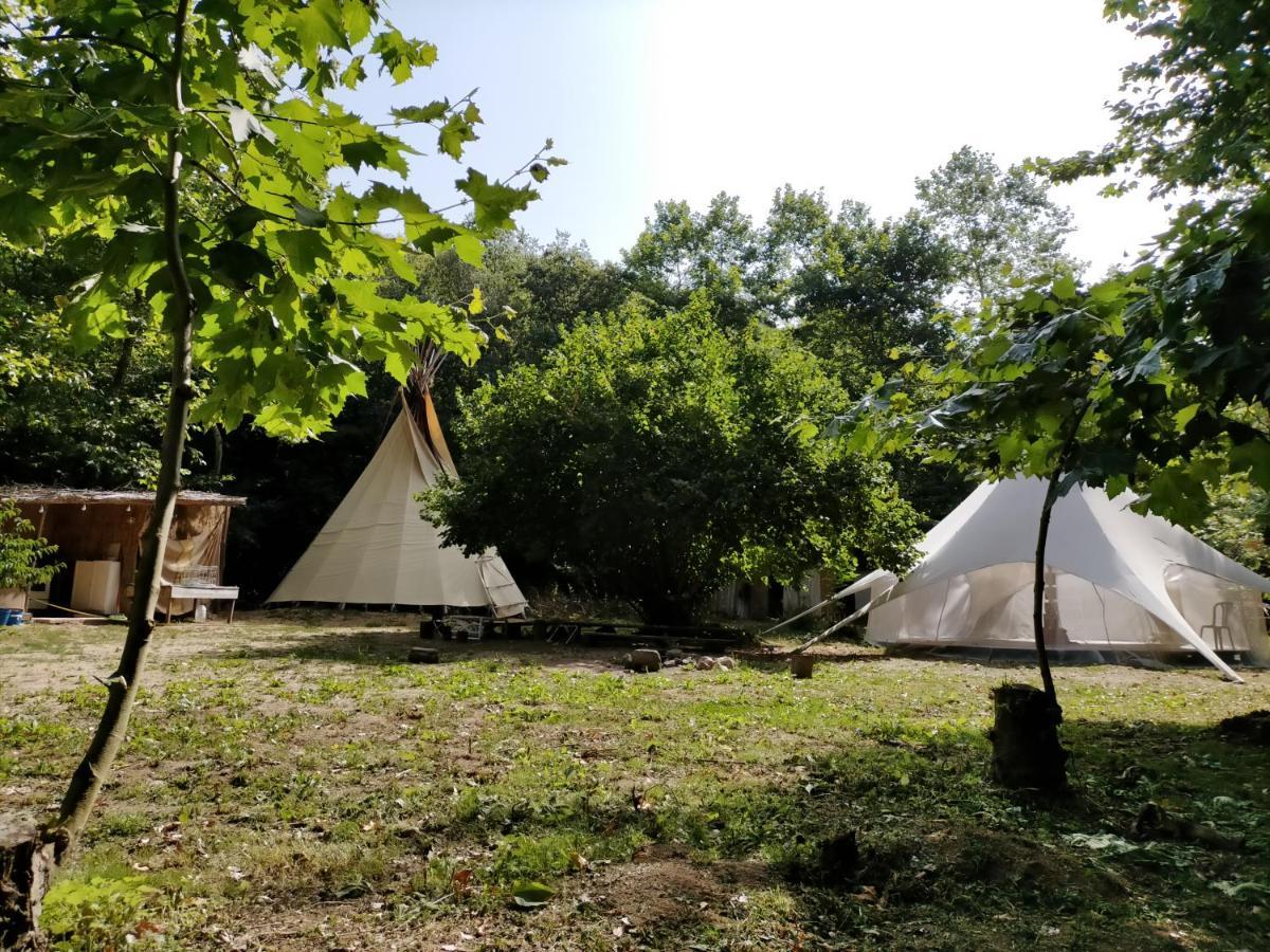 Albergue Del Oso Tierraluz Arbucies Bagian luar foto