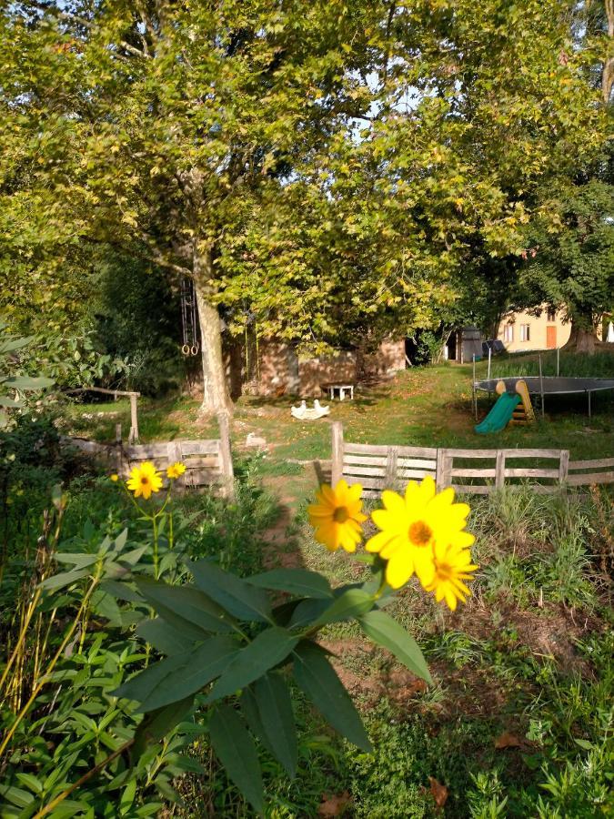 Albergue Del Oso Tierraluz Arbucies Bagian luar foto