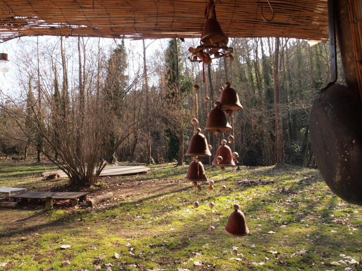 Albergue Del Oso Tierraluz Arbucies Bagian luar foto